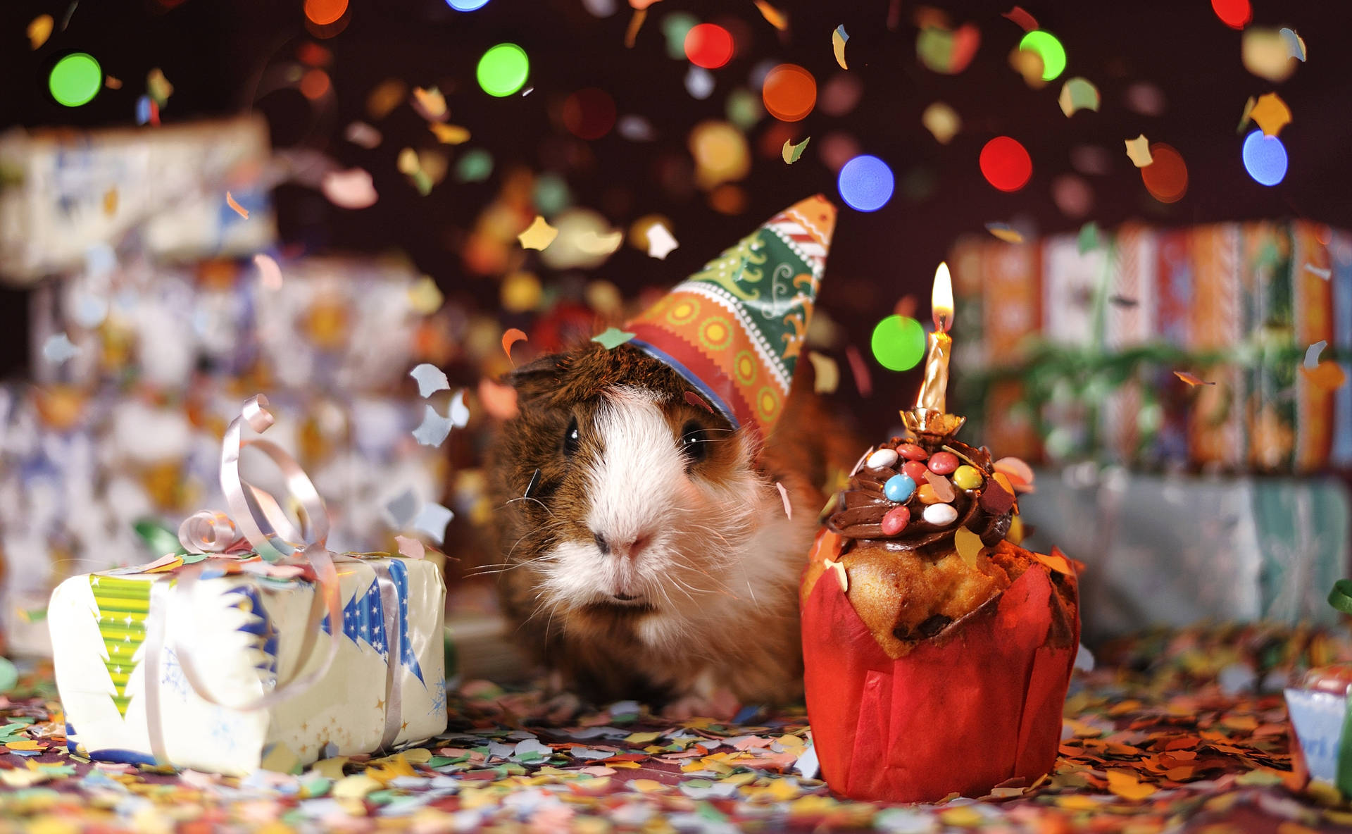 Guinea Pig Holiday Confetti Background