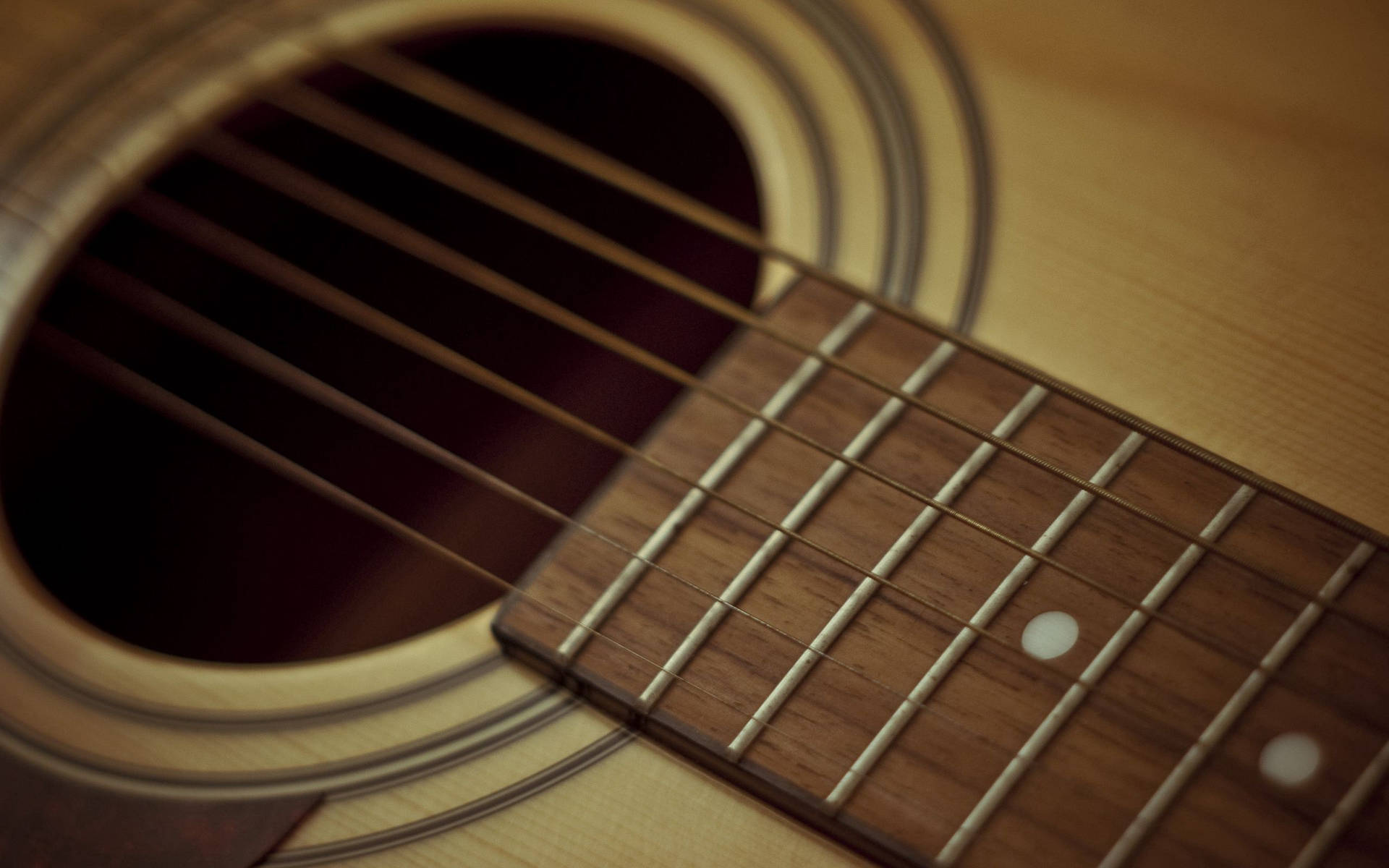 Guitar Strings And Fret Wires Background