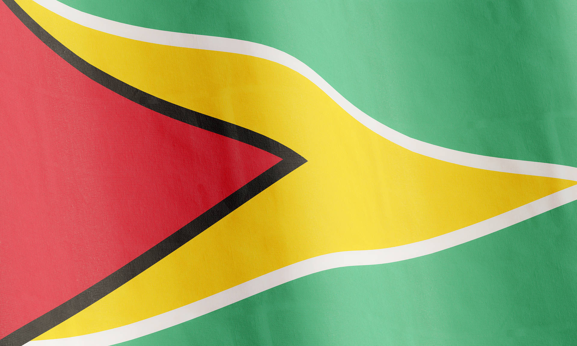 Guyana National Flag Background