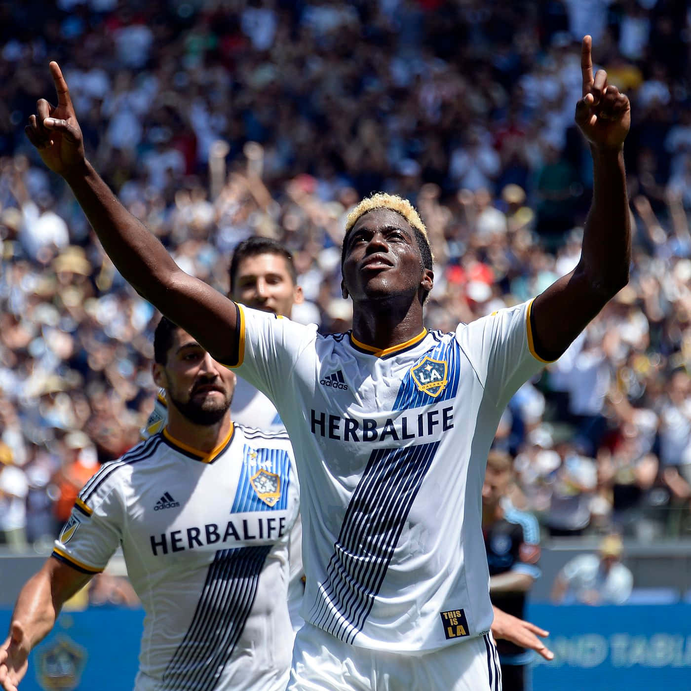 Gyasi Zardes Celebrates Against New England Revolution Background