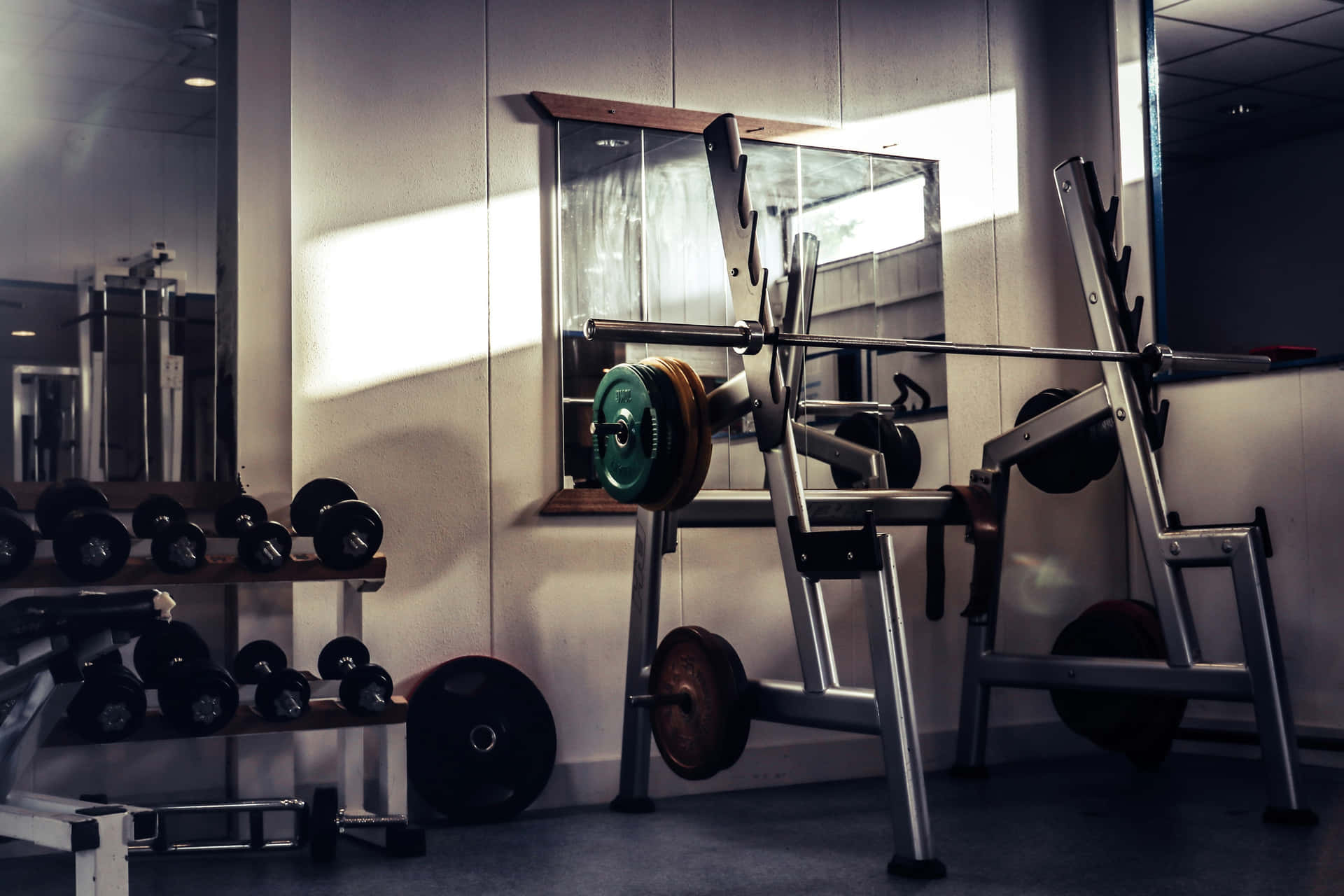 Gym Equipmentin Sunlit Room