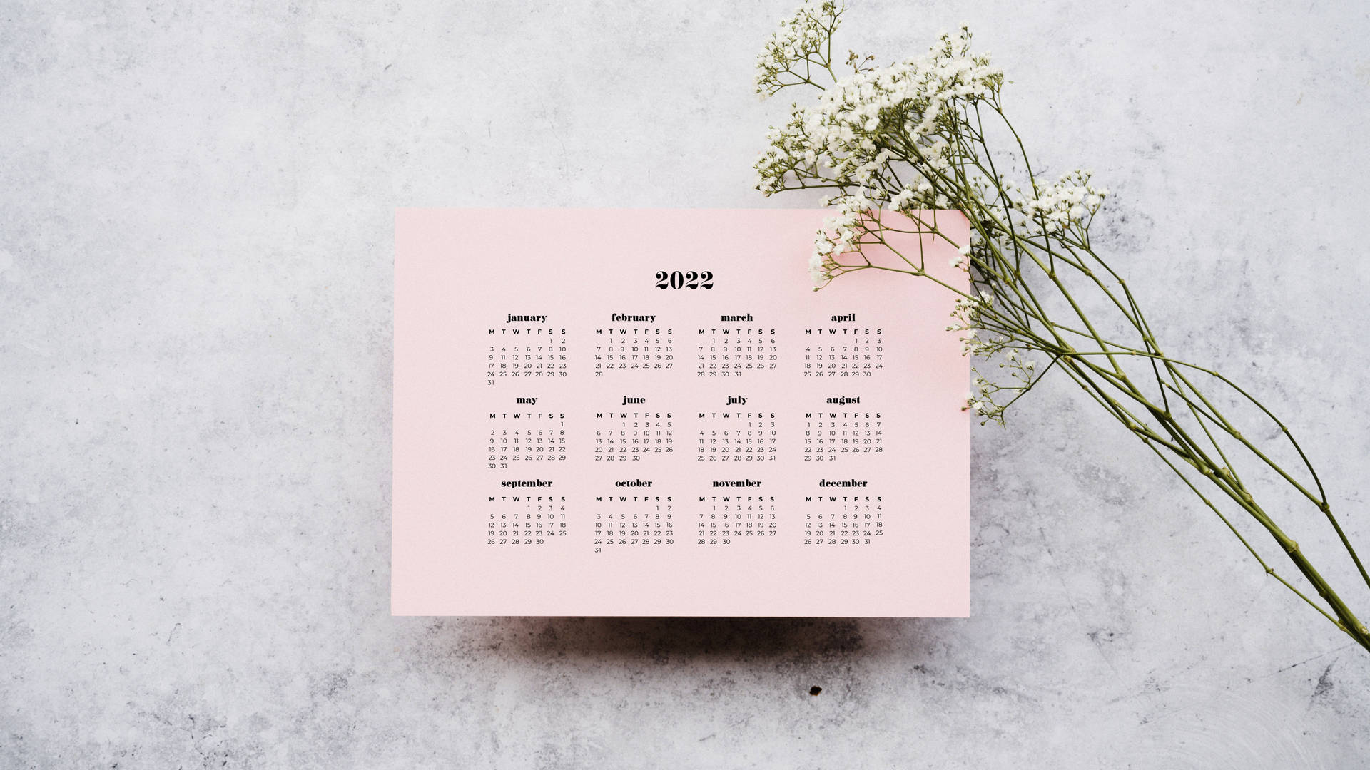 Gypsophila 2022 Calendar Background
