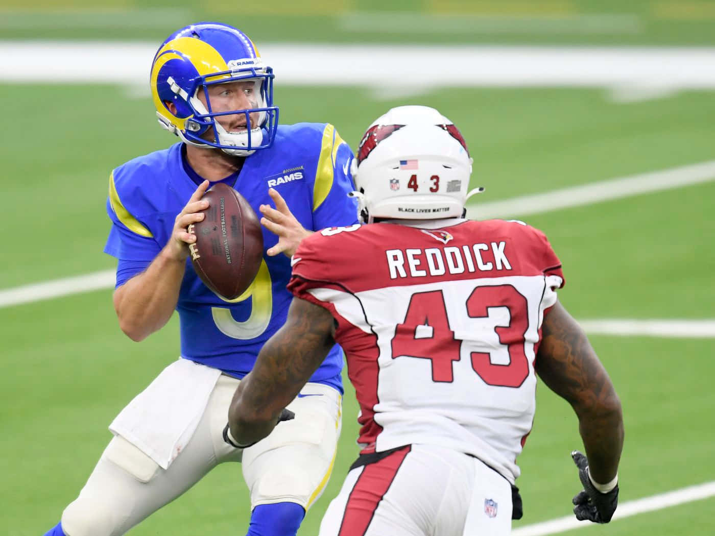 Haason Reddick National Football League Linebacker Background