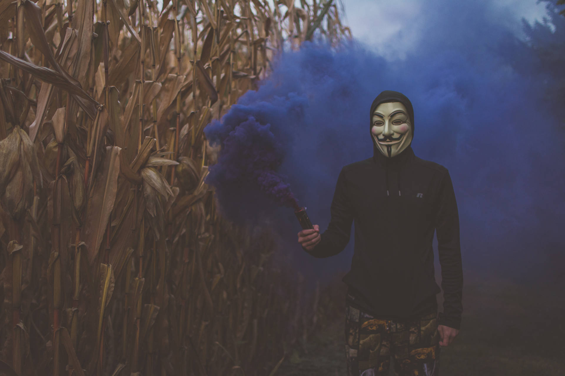 Hacker Mask In The Tall Grass Background