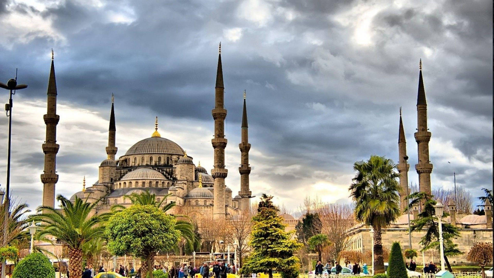 Hagia Sophia With Palm Trees Background