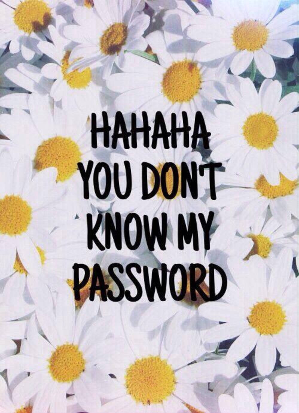 Hahaha You Dont Know My Password 1000 X 1380 Background