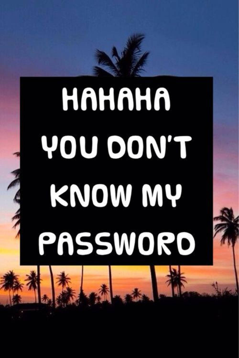 Hahaha You Dont Know My Password 1000 X 1500 Background