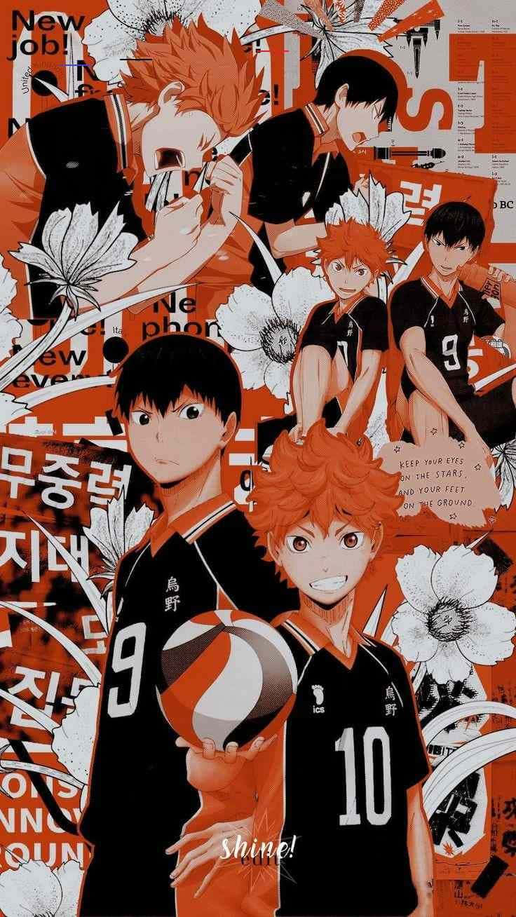 Haikyuu Anime Nine & Ten Background