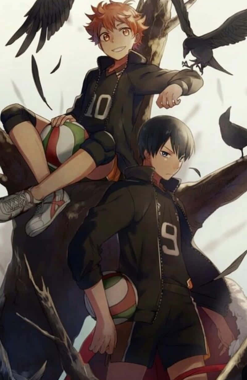 Haikyuu Anime On Tree