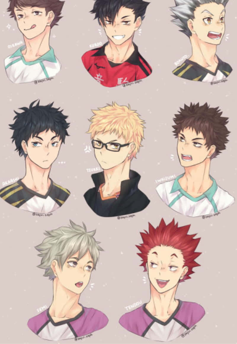 Haikyuu Anime Player Background