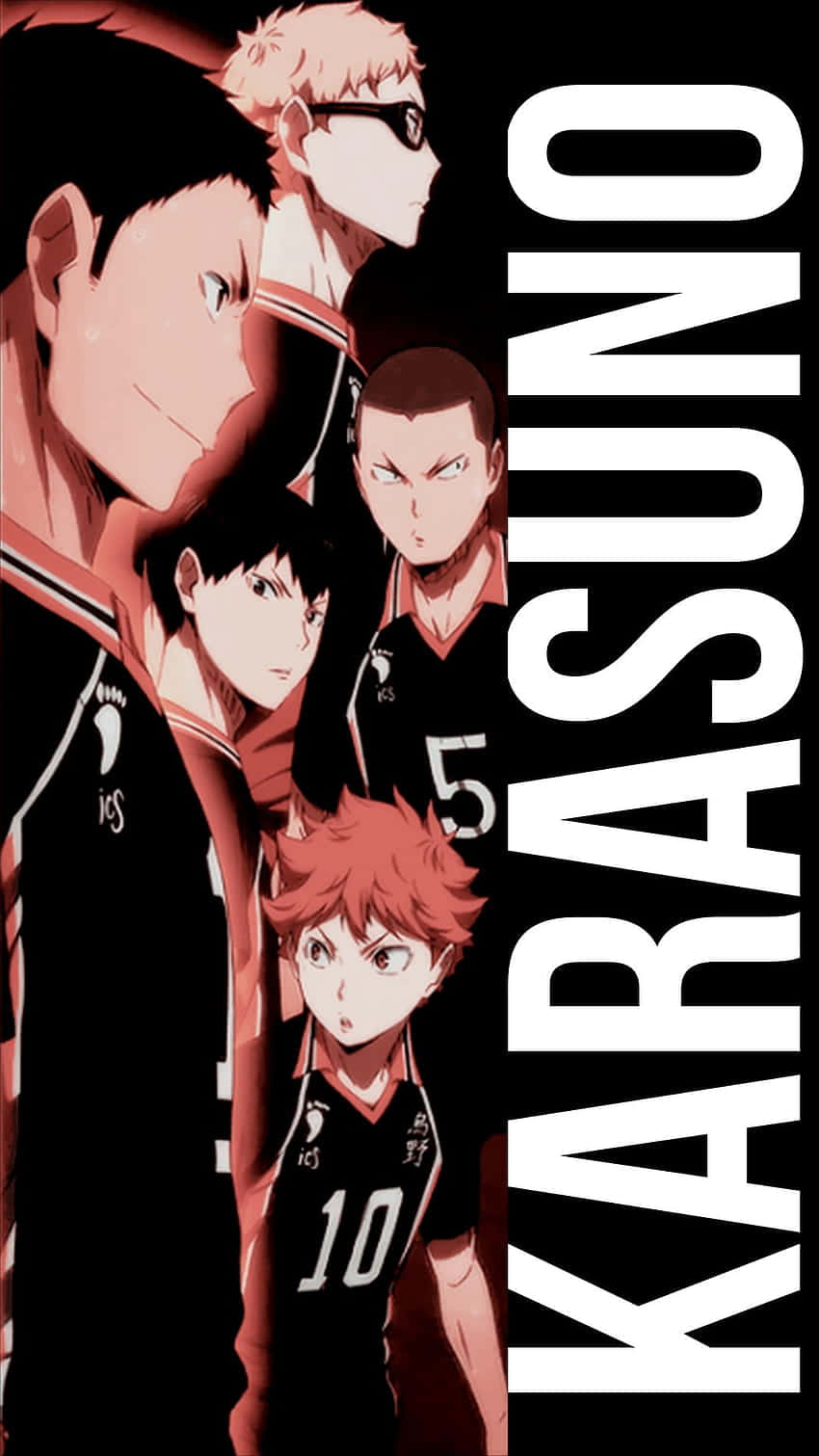 Haikyuu Karasuno Team Portrait Background