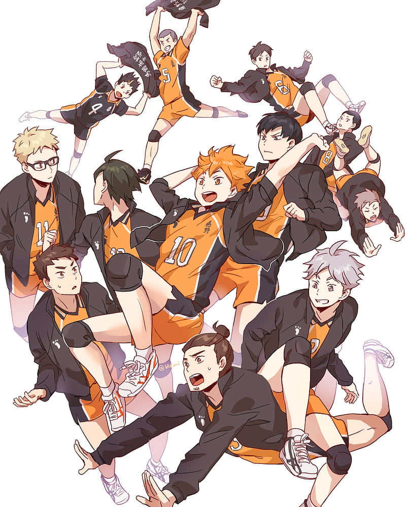 Haikyuu Team Karasuno Dynamic Pose Background