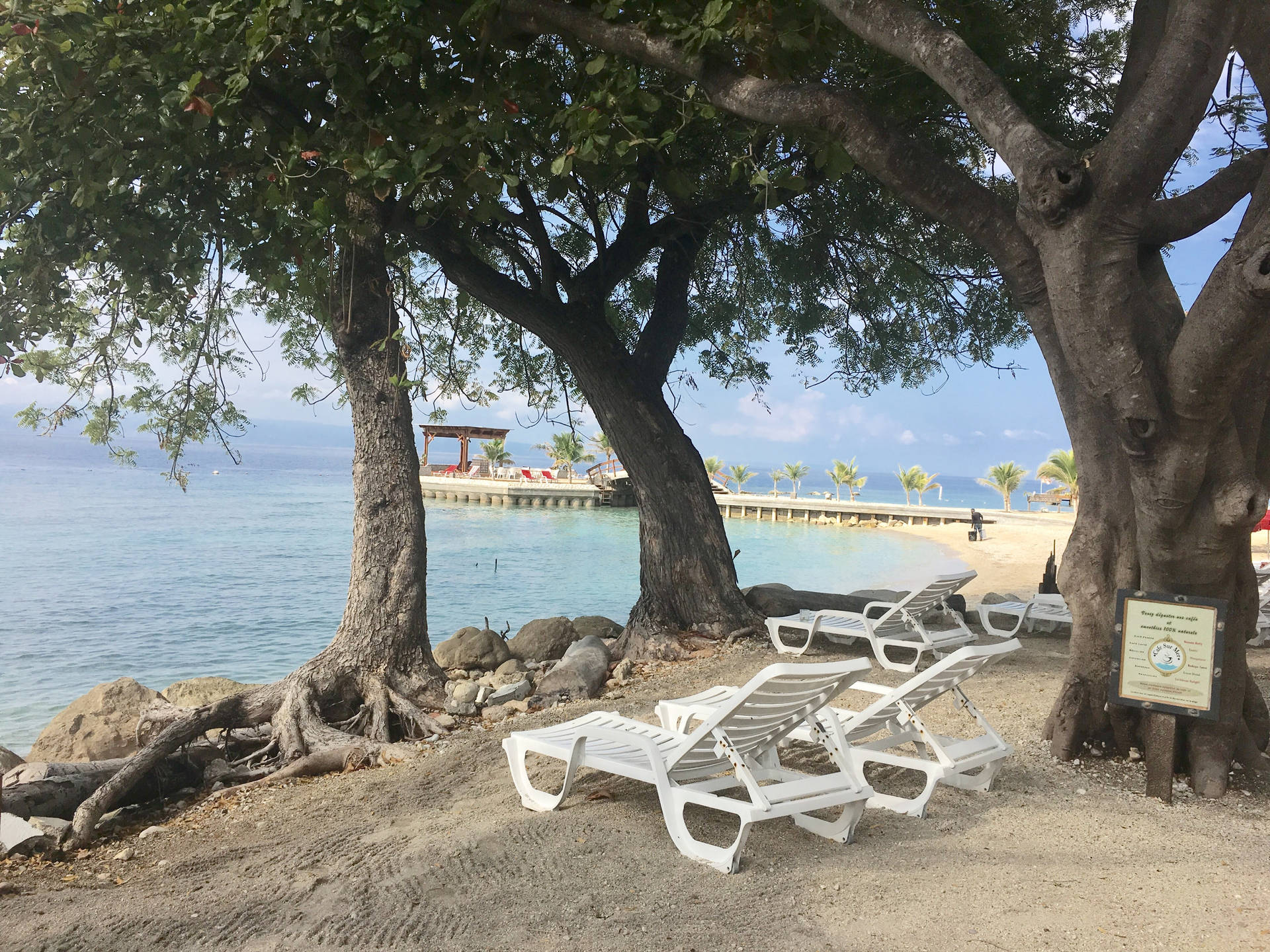 Haiti Beach Area Background