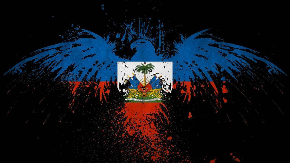 Haiti Flag Art Background
