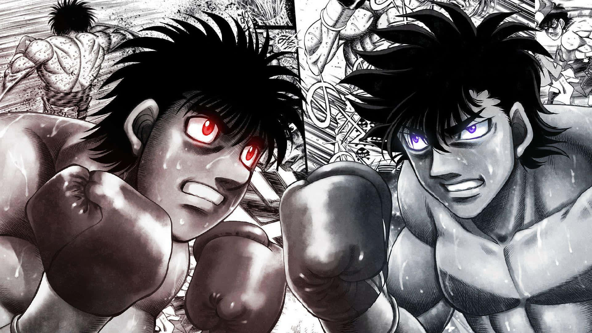 Hajime_no_ Ippo_ Boxers_ Faceoff Background