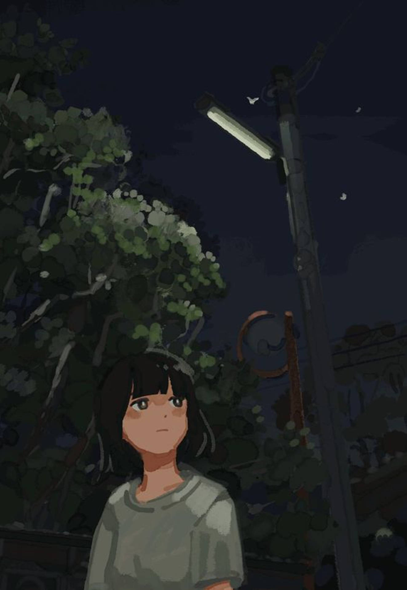 Haku Spirited Away Unique Cool Pfp Digital Art