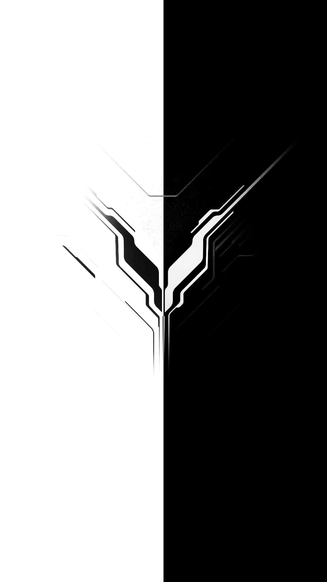 Half Black Half White Creative Art Wallpaper Background