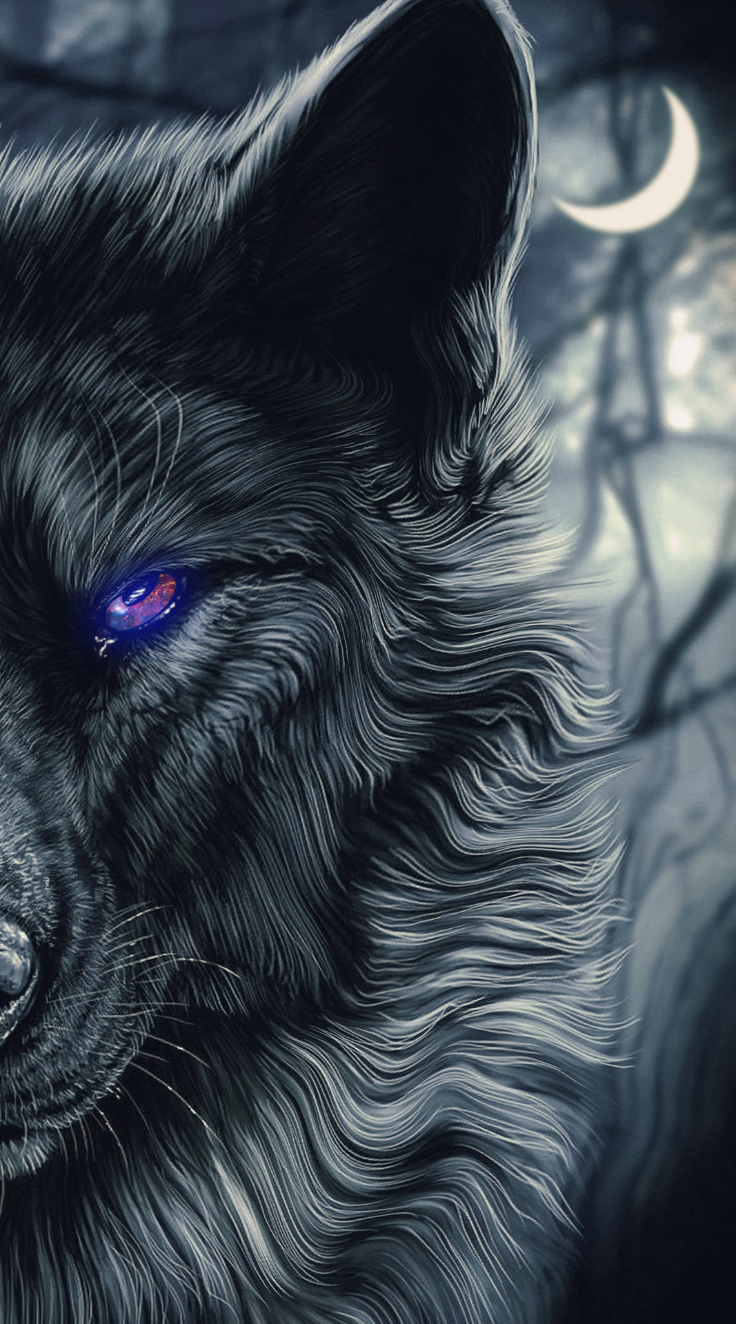Half Face Black Wolf Background