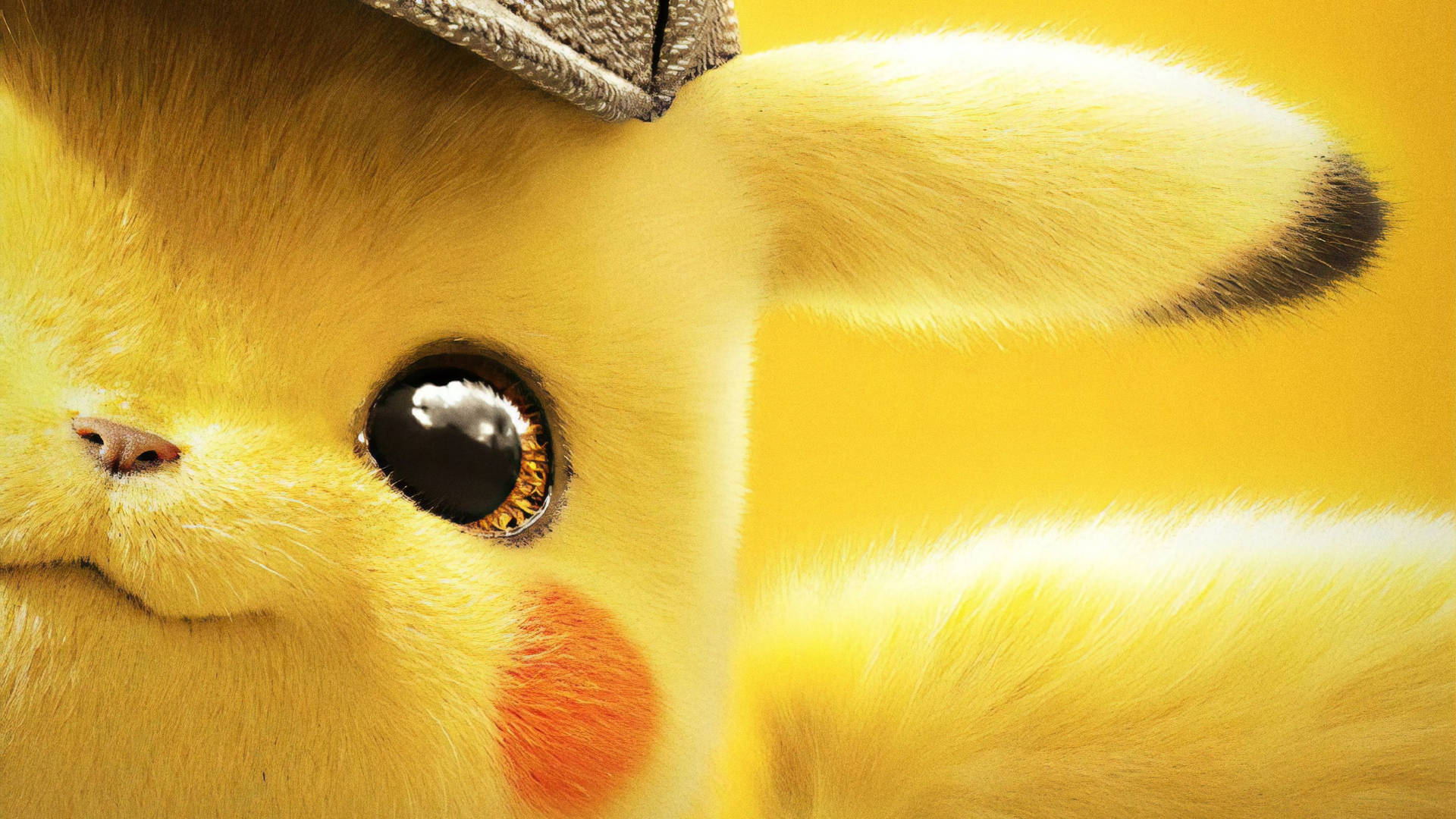 Half-face Portrait Of Detective Pikachu Background