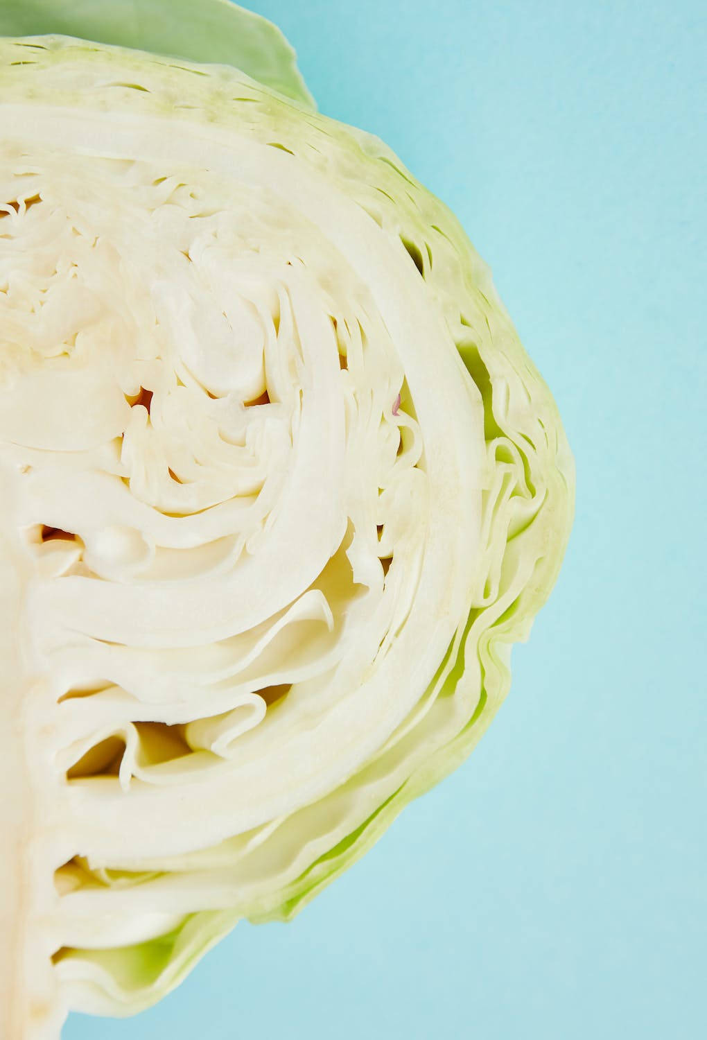 Half Fresh Cabbage Background