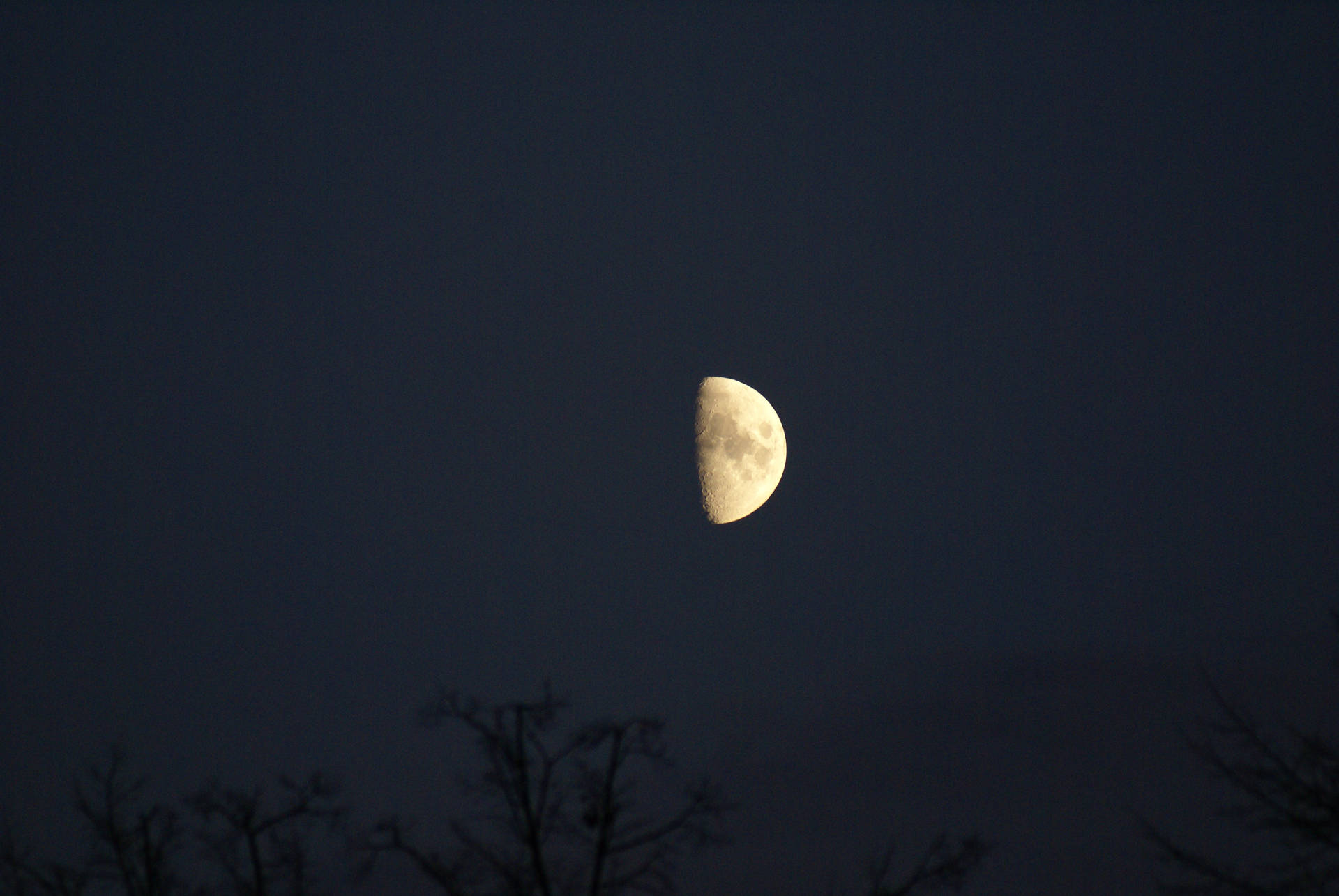 Half Moon In Dark Sky Moonlight Background