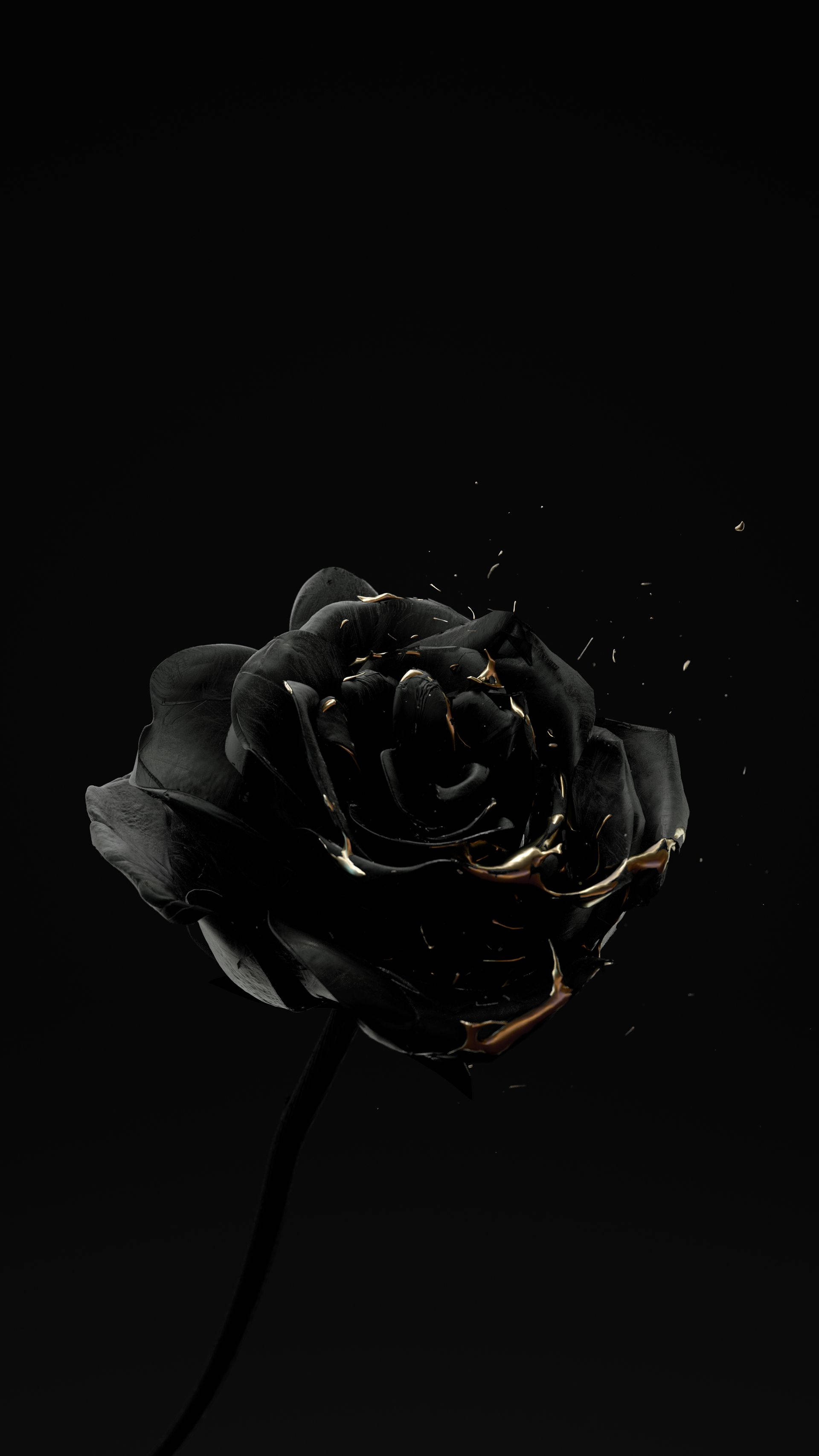 Halfeti District Black Rose Iphone Background