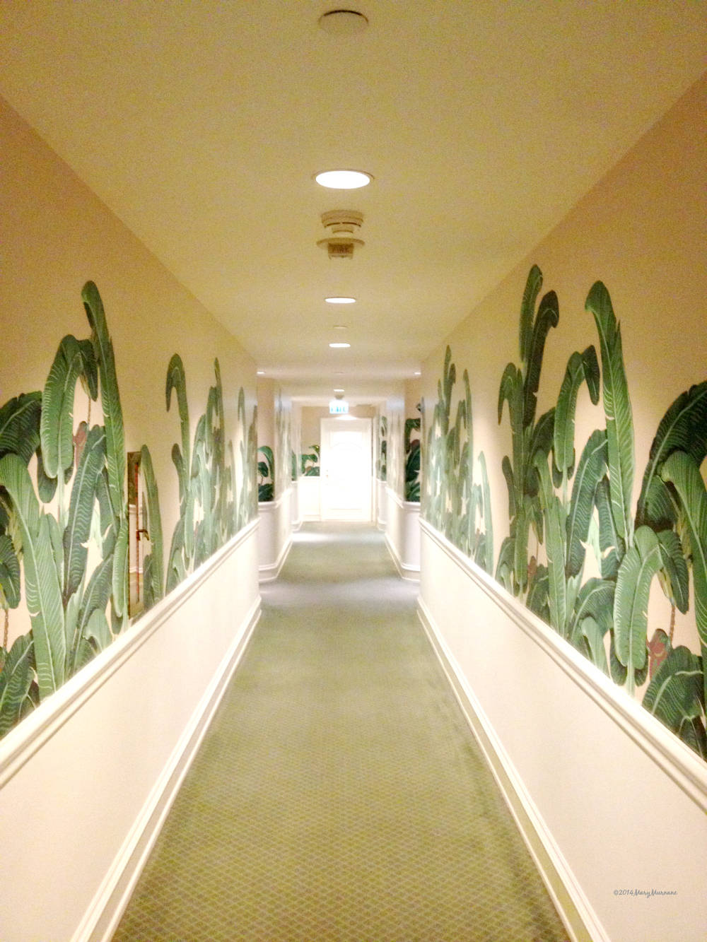 Hall Way Of Beverly Hills Hotel Background