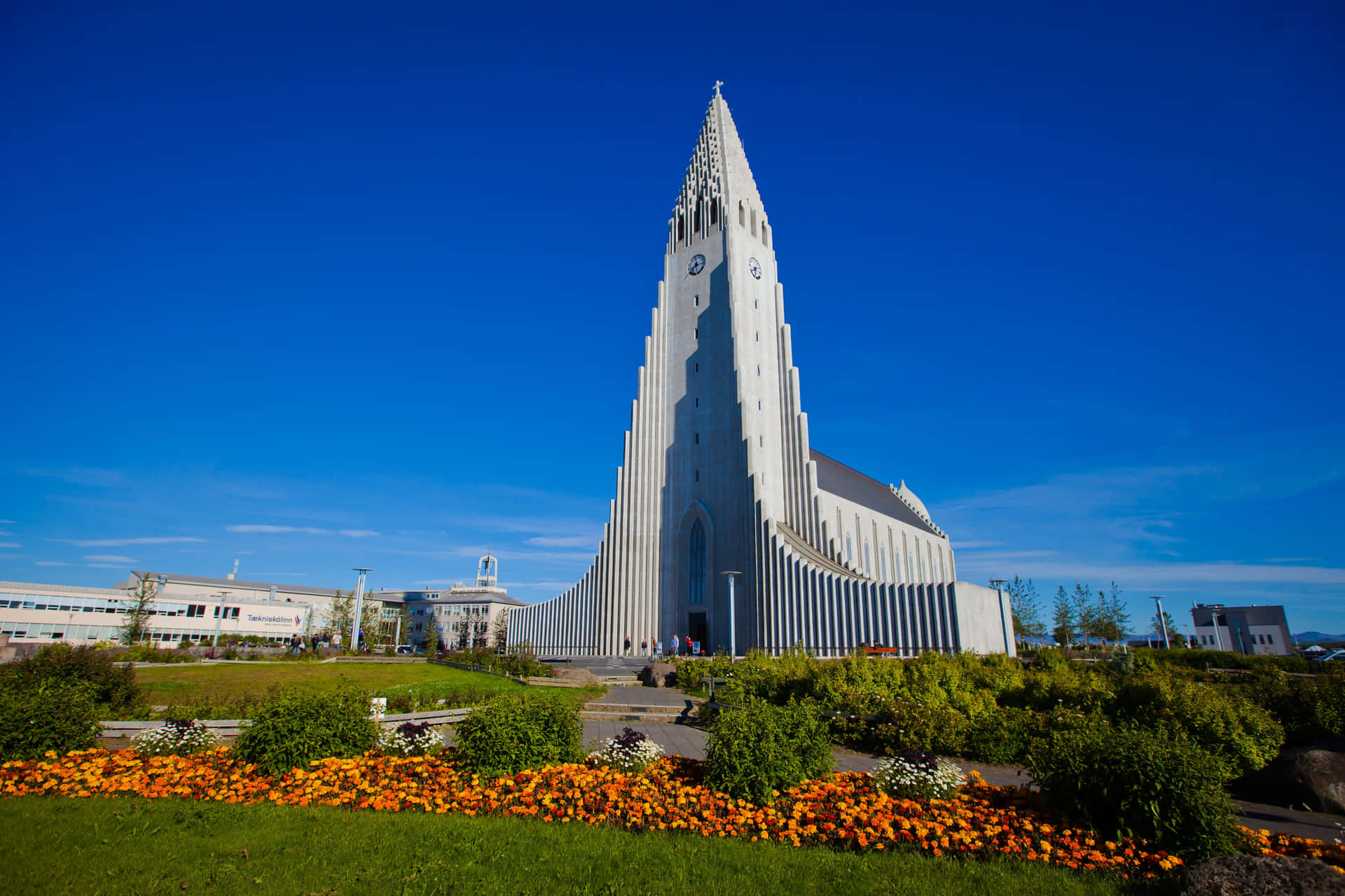 Hallgrimskirkja Church Wide Angle Background