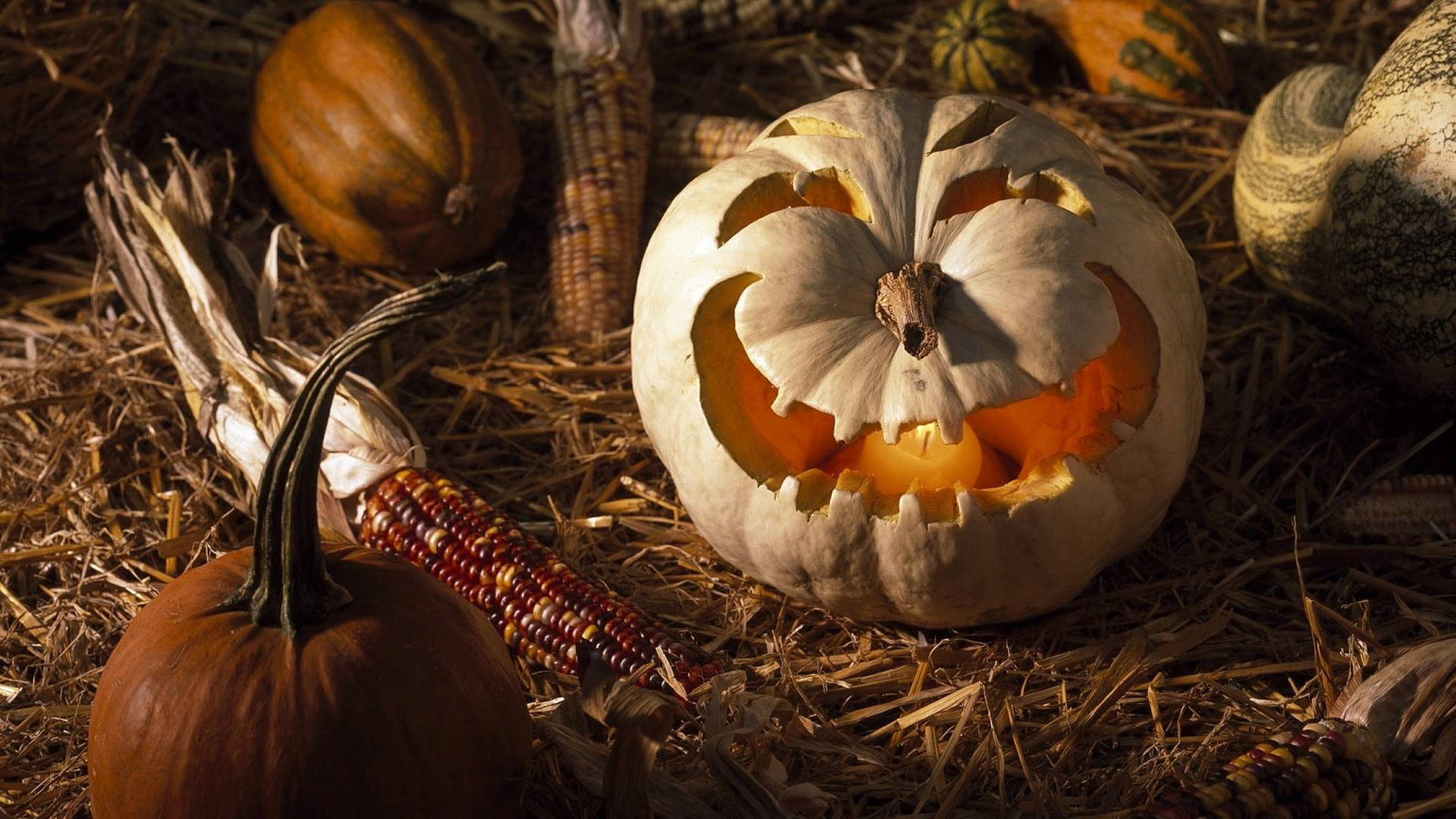 Halloween Aesthetic Pc Corn Brown Grass Background