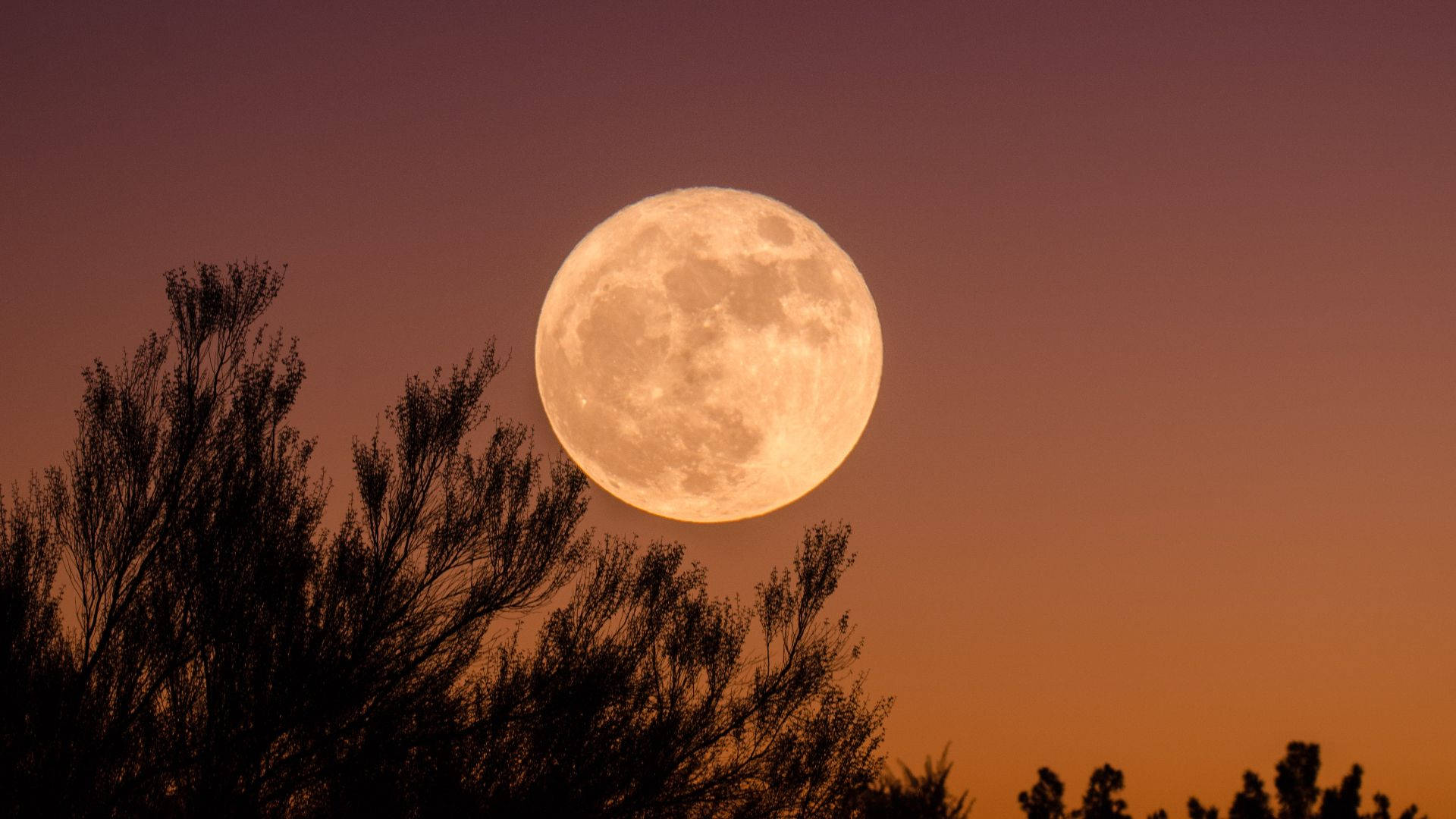 Halloween Aesthetic Pc Moon Orange Sky Background