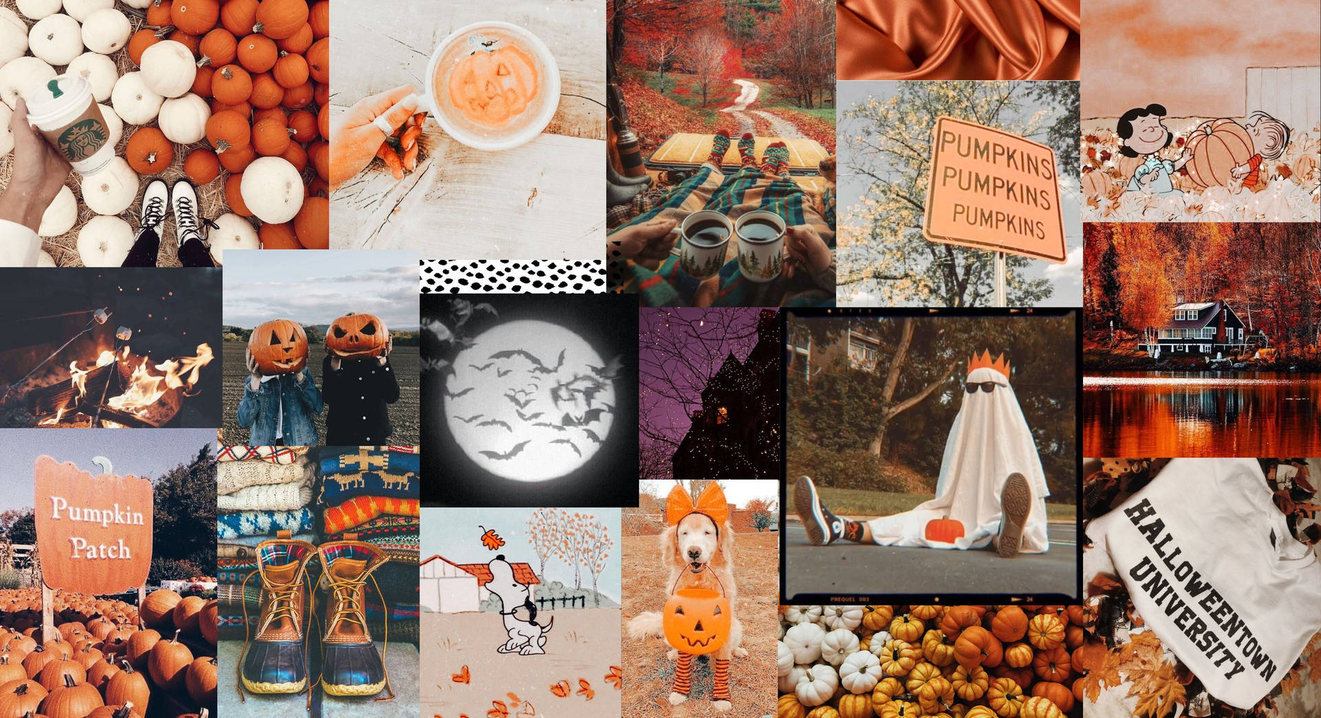 Halloween Aesthetic Pc Photo Compilation Background