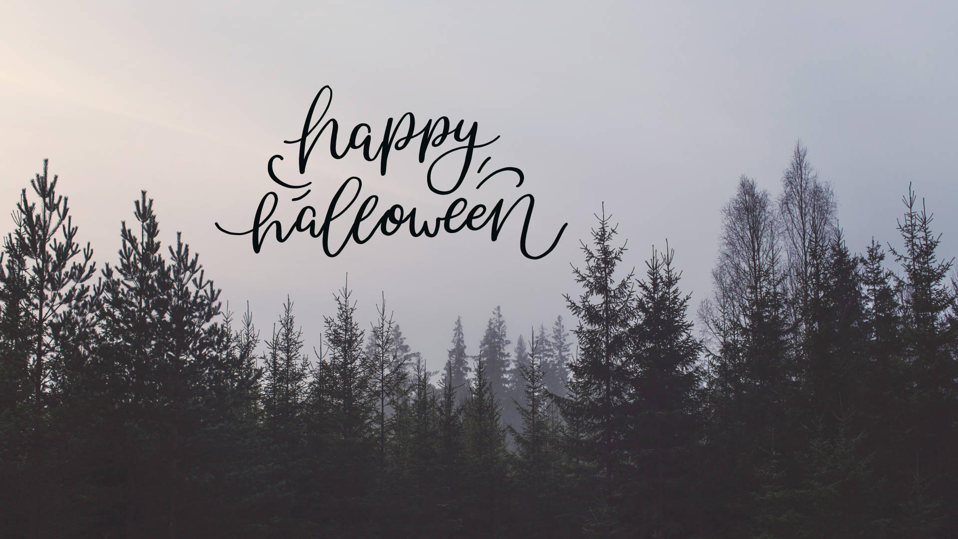 Halloween Aesthetic Pc Pine Forest Background