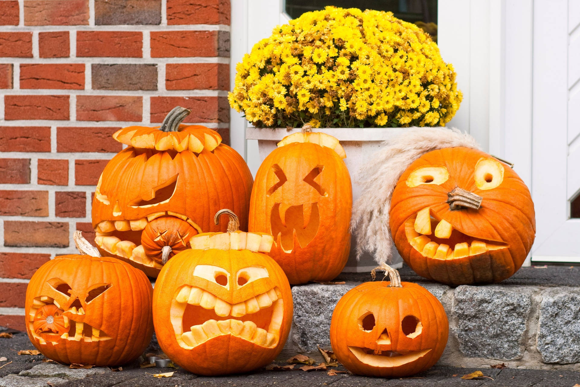 Halloween Aesthetic Pumpkin Faces Background