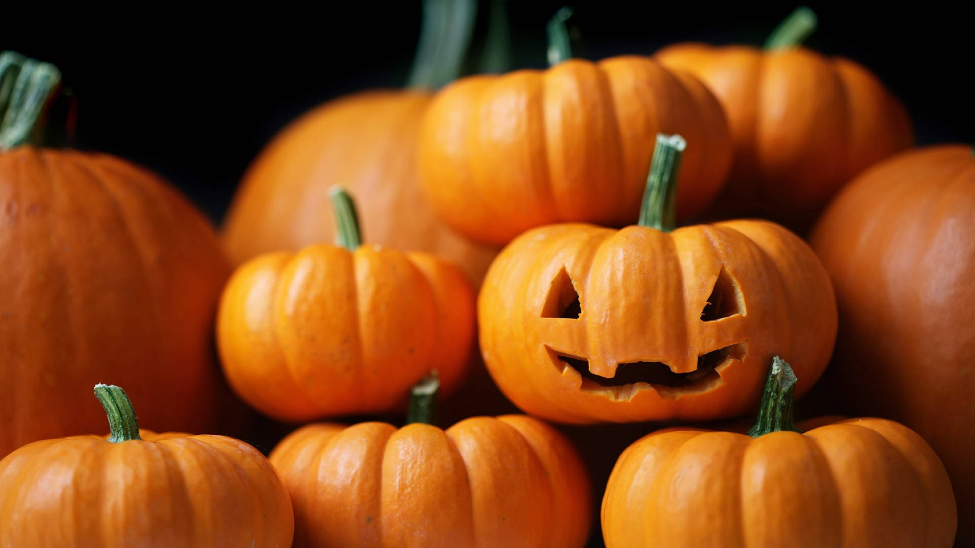 Halloween Aesthetic Pumpkin Pile