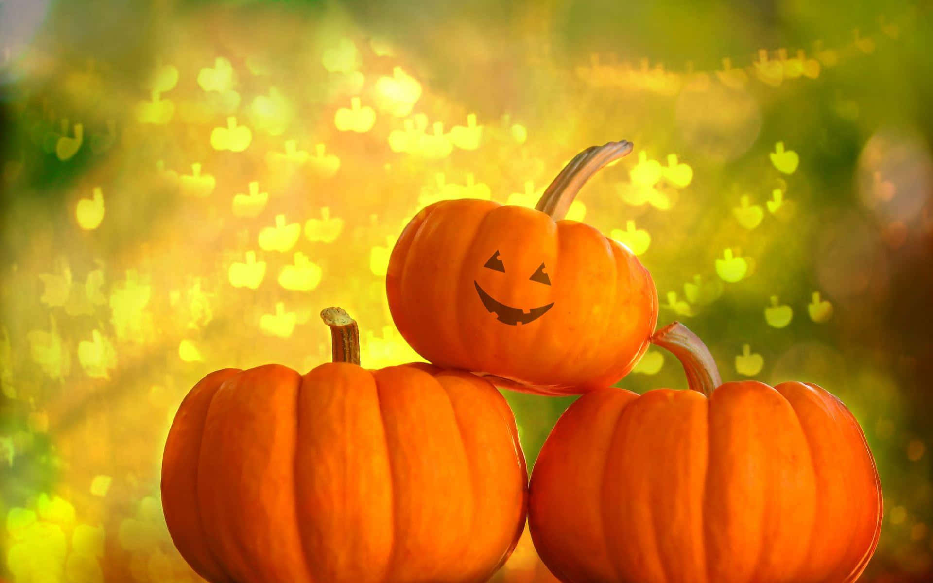 Halloween Fall Pumpkin Background