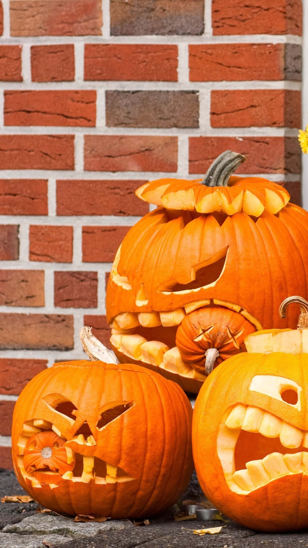 Halloween Pumpkin Carvings Brick Backdrop