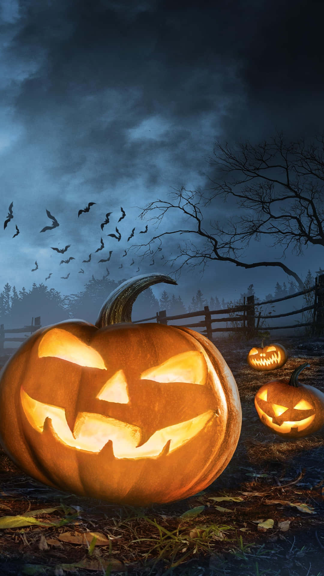 Halloween Pumpkin Glow Night Scene Background