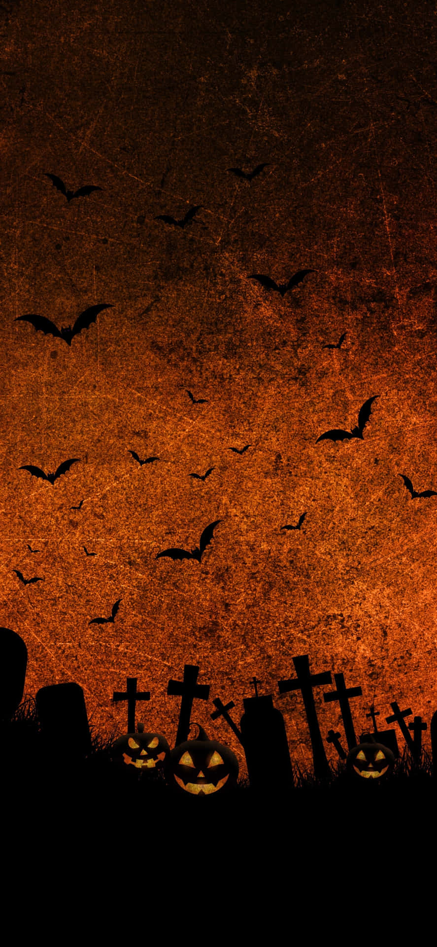 Halloween Pumpkin Graveyard Batsi Phone Wallpaper Background
