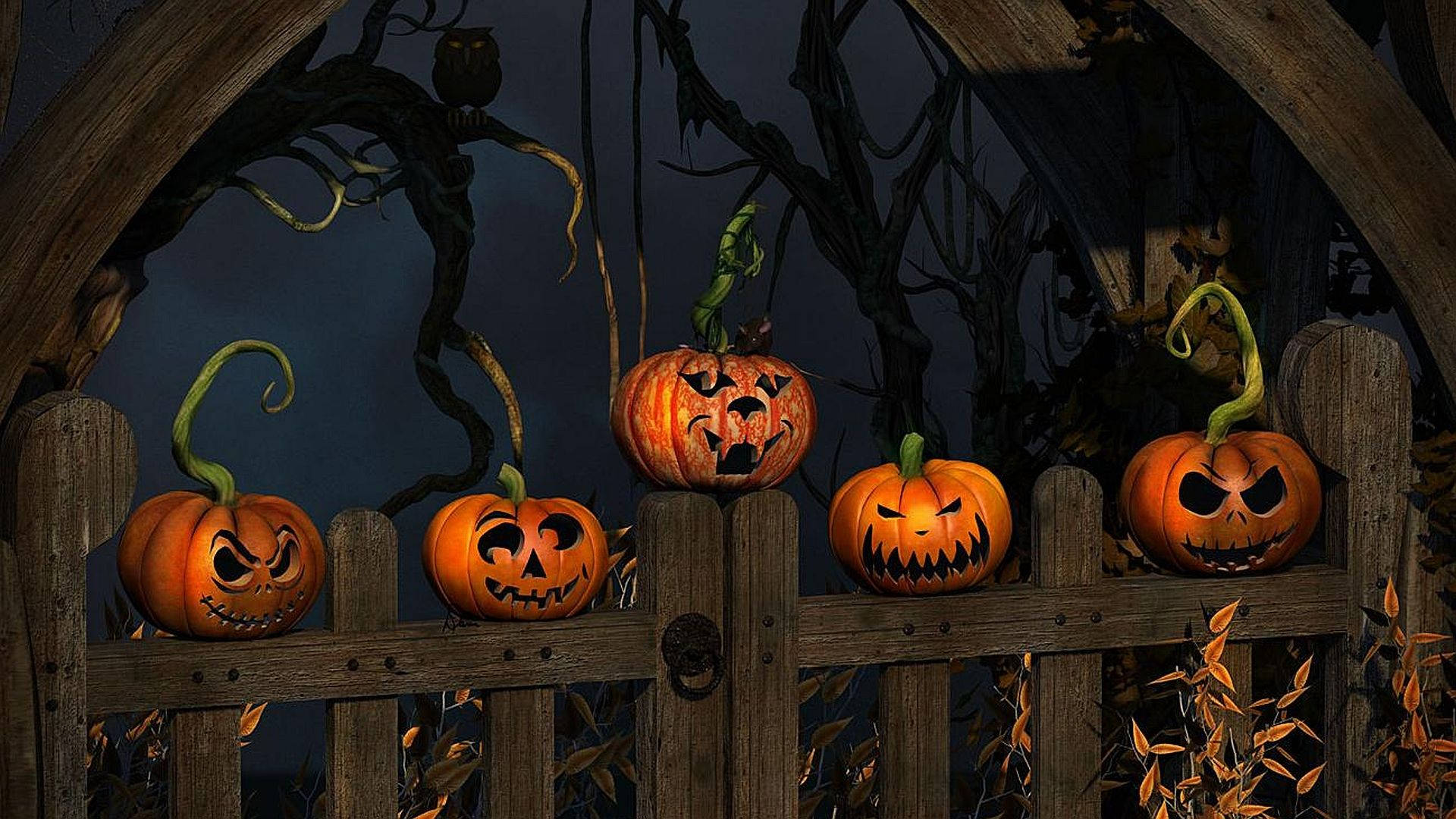 Halloween Pumpkins On Fence Background
