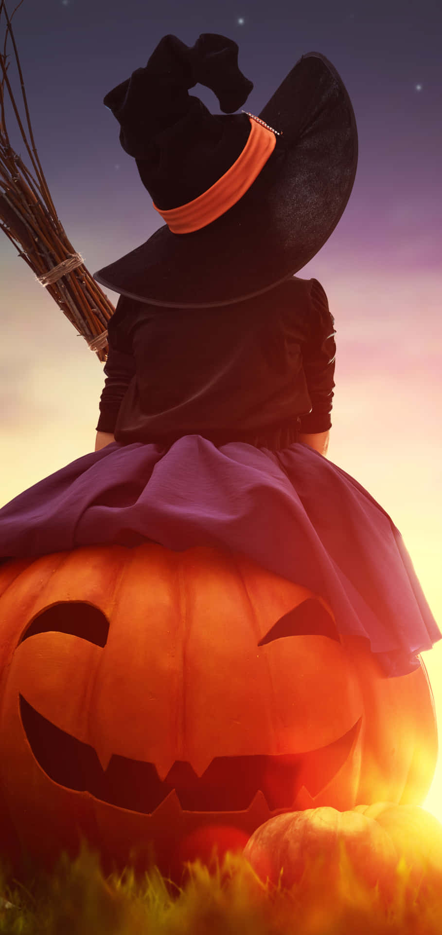 Halloween Witch Pumpkin Sunset Background