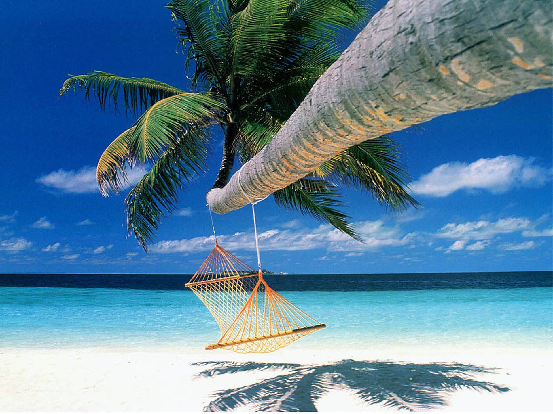Hammock For Beach Vacation Background