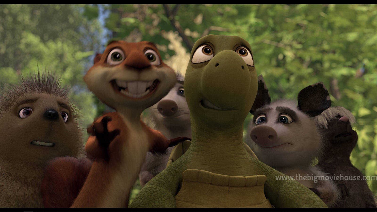 Hammy And Verne - The Best Buddies From Over The Hedge