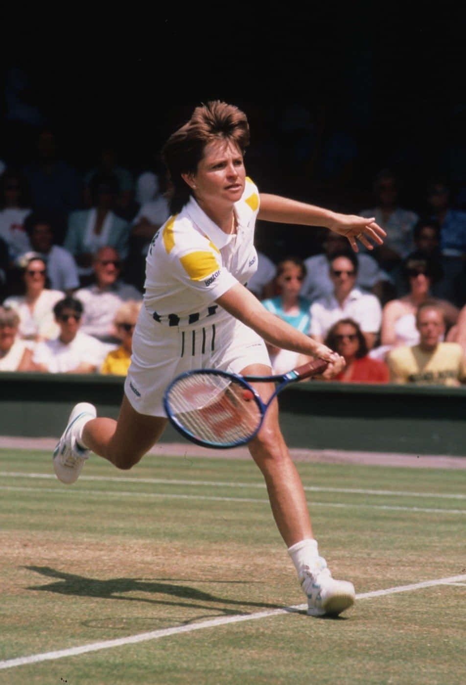 Hana Mandlikova Demonstrating Her Professional Tennis Skills Background