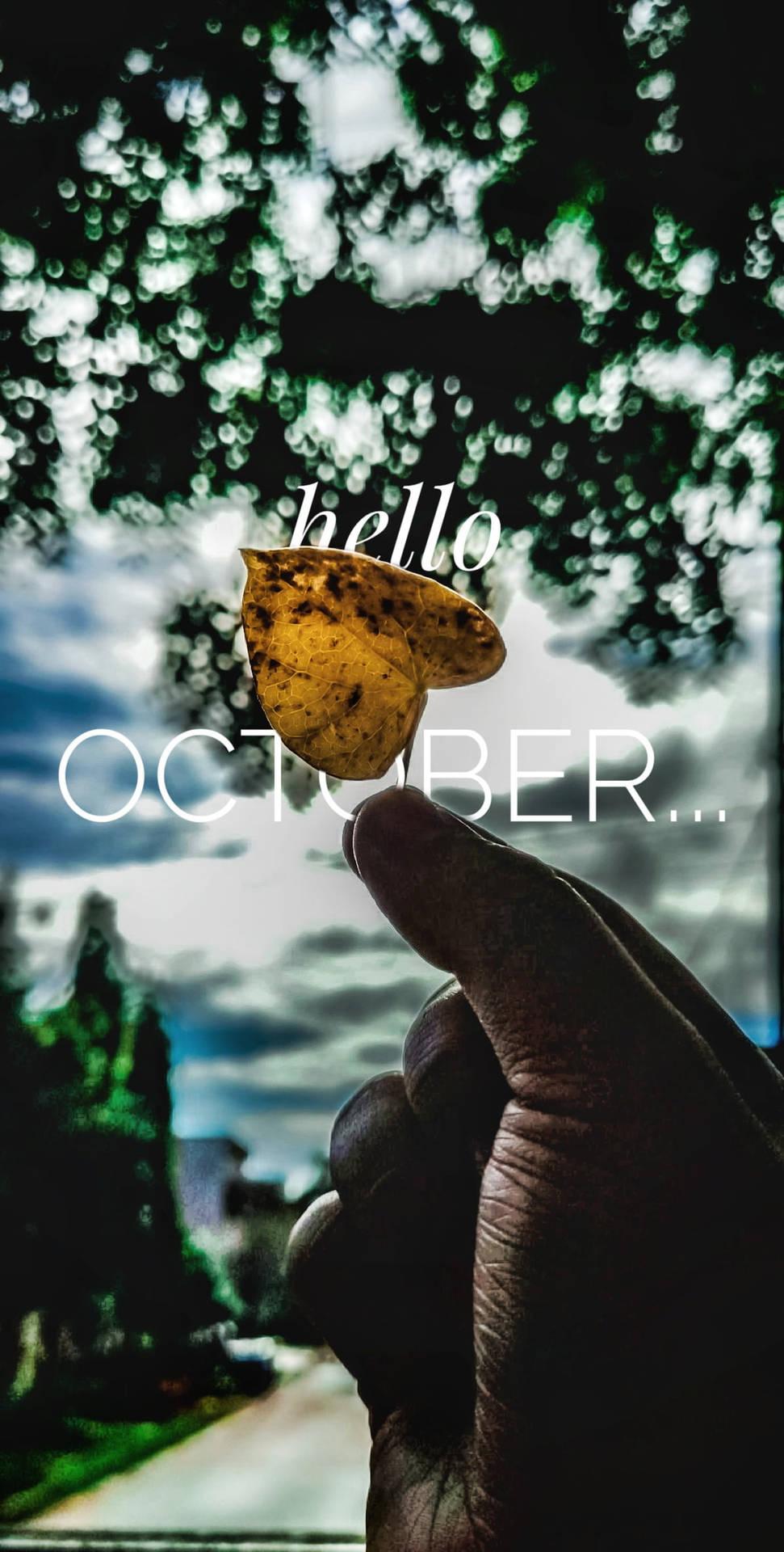 Hand And Leaf Silhouette Hello October Background