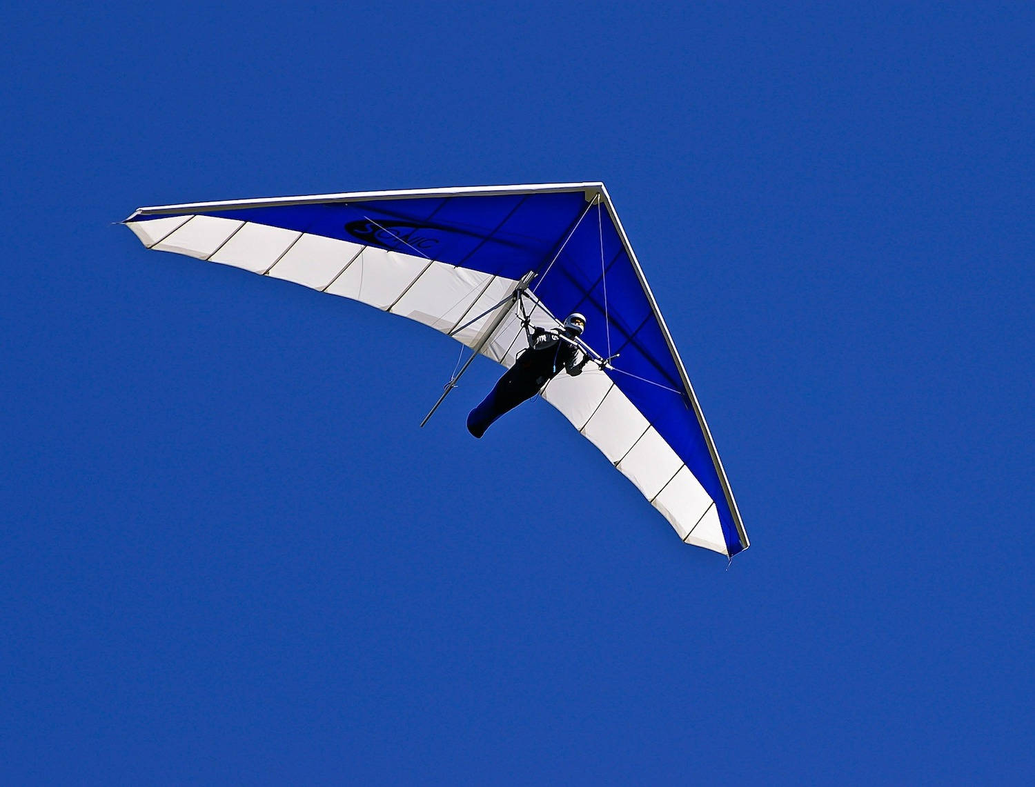 Hand Gliding Blue And White Air Glider