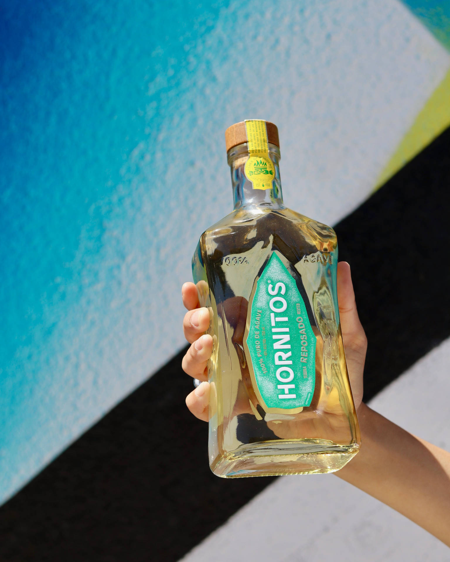 Hand Holding A Bottle Of Hornitos Tequila Background