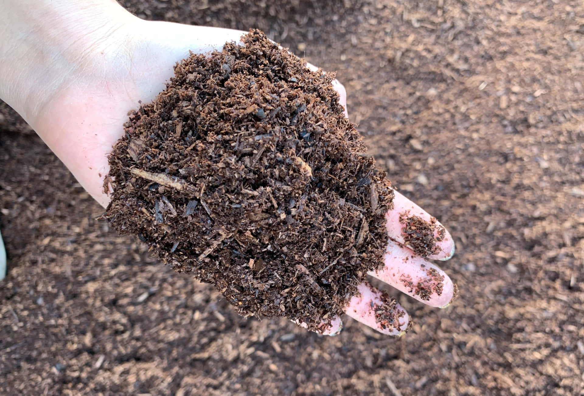 Hand Holding Pile Of Soil Background