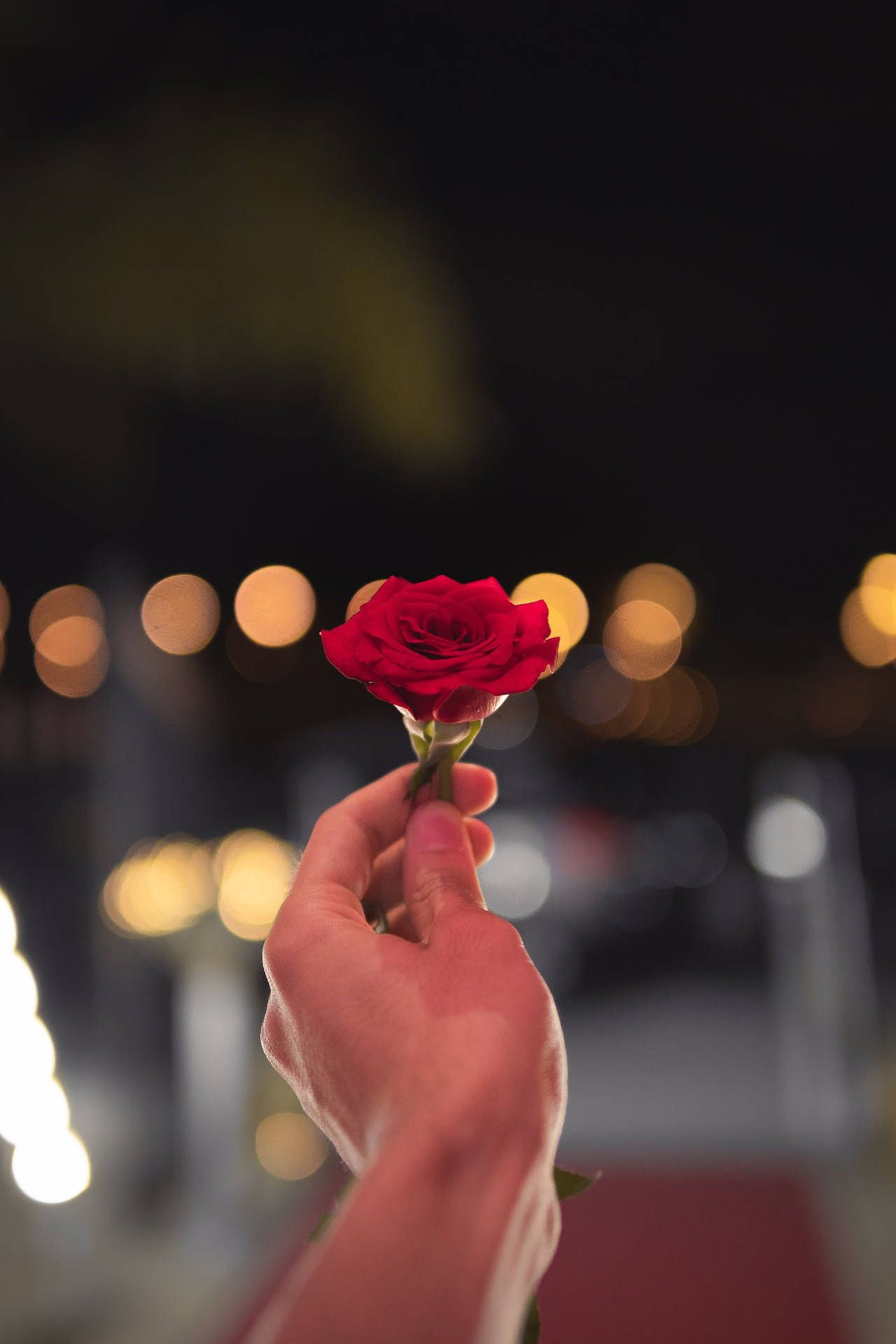 Hand Holding Red Rose Flower Background