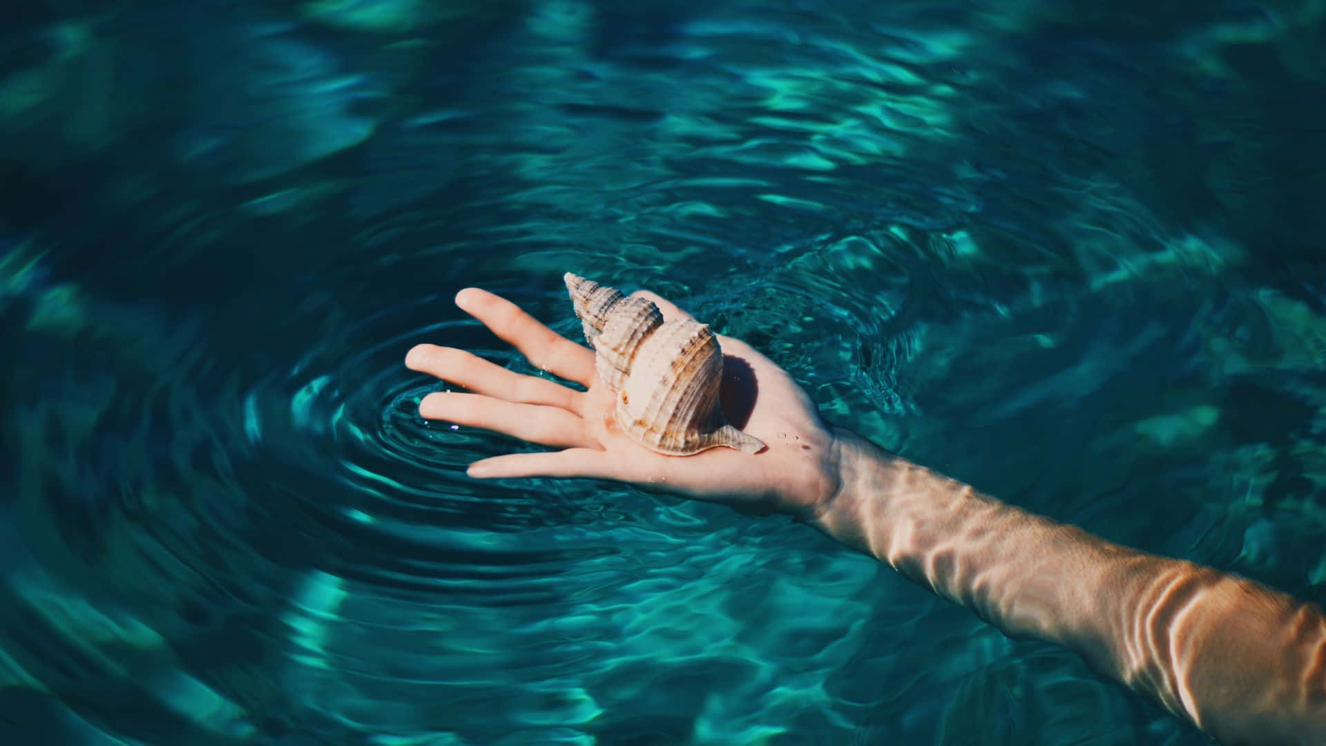 Hand Holding Shellin Water.jpg Background