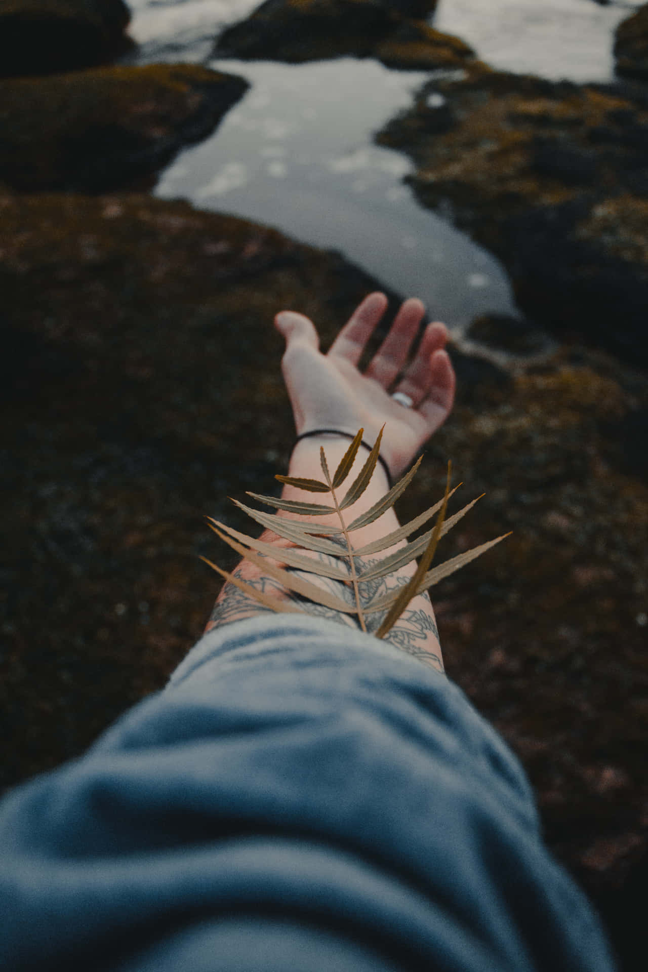 Hand In Moody Tone Background